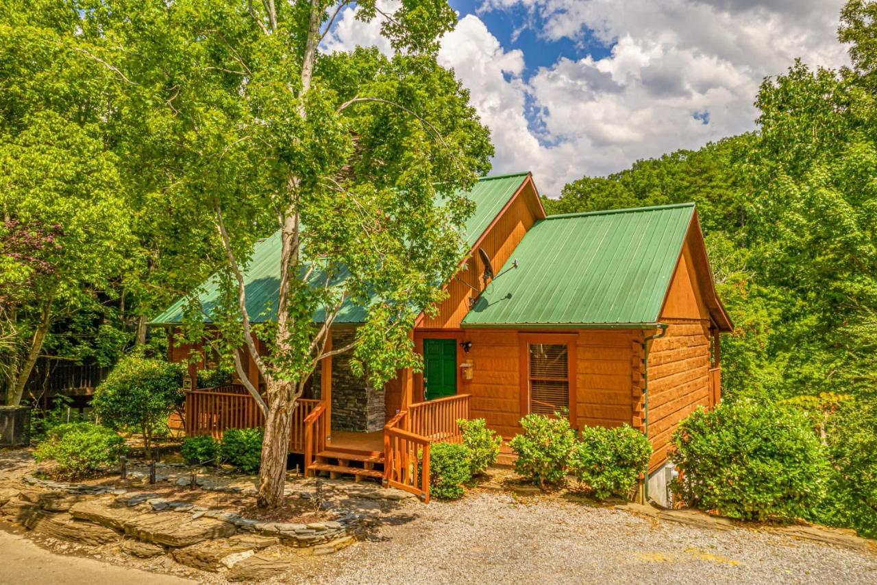 Firefly Hollow Cabin - Smoky Mountains - Soaky Mountain Water Park - Sevierville Convention Center 비둘기 포지 외부 사진